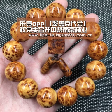 乐竟app|【聚焦党代会】校党委召开中共南京林业大学第十六次代表大会动员会(图3) 乐竟