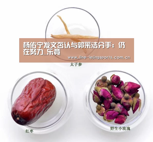乐竟app