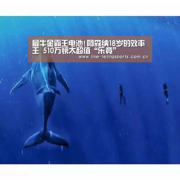 乐竟体育app