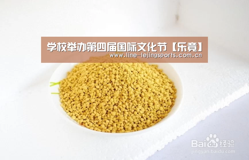 学校举办第四届国际文化节【乐竟】(图3) 乐竟官方网站