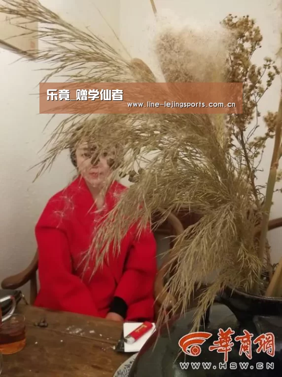 乐竟app