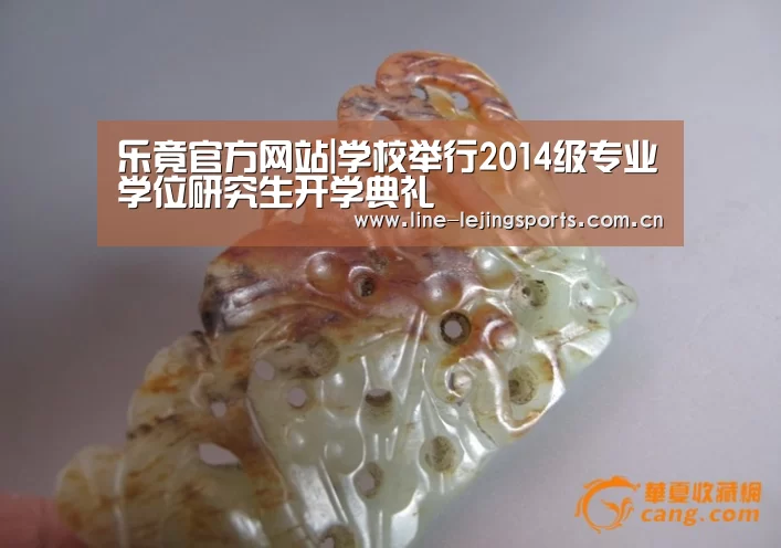 乐竟官方网站|学校举行2014级专业学位研究生开学典礼(图1) 乐竟