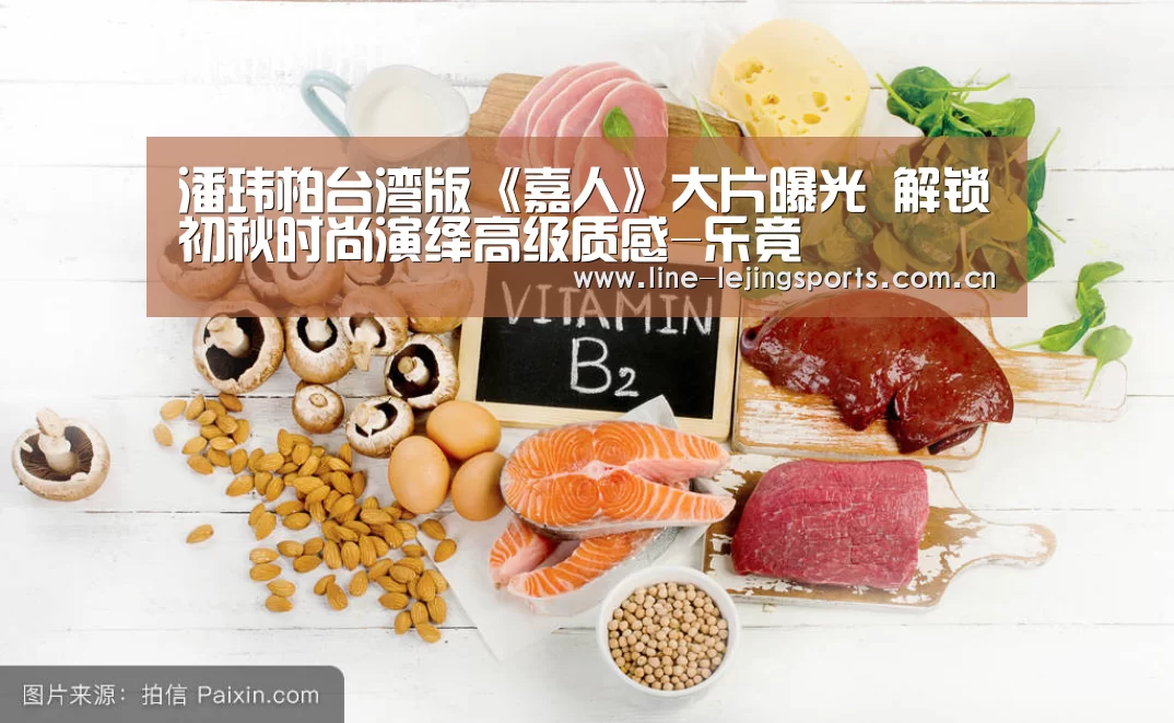 乐竟官方网站
