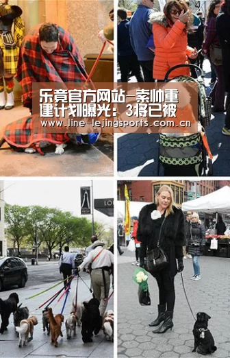 乐竟官方网站